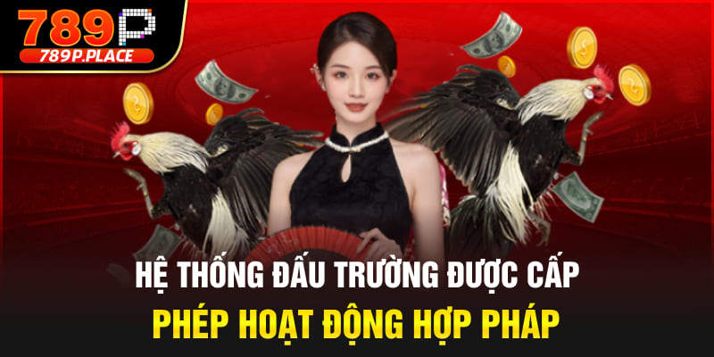 Hệ thống đấu trường được cấp phép hoạt động hợp pháp