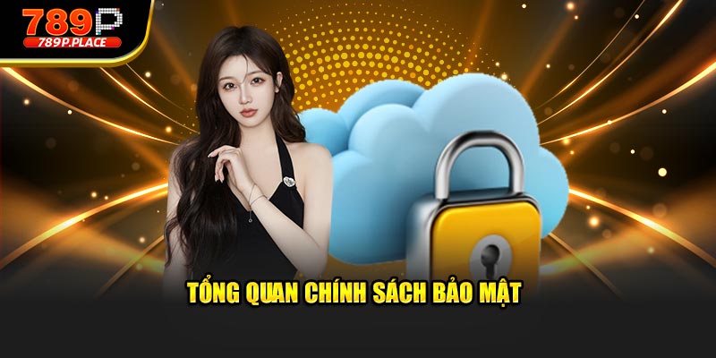 Tổng quan Chính Sách Bảo Mật